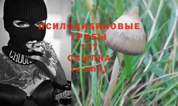 сатива Наволоки